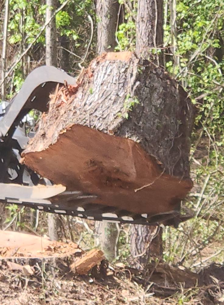 Heavy equipment picking up a large tree stump