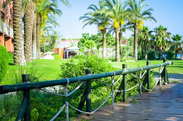 bridge connecting to big beautiful yard with palm trees