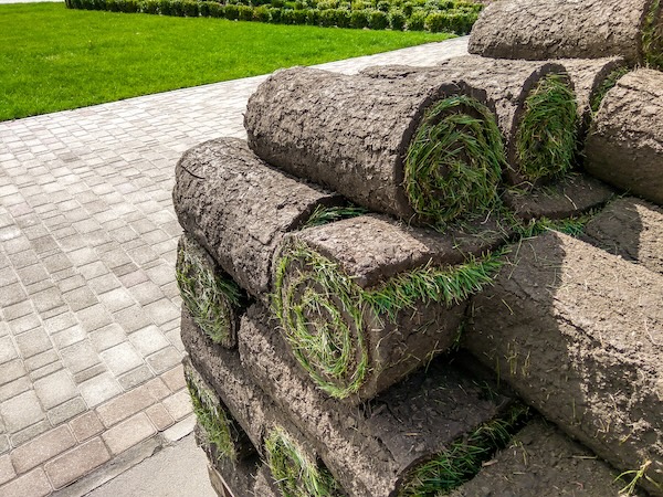 fresh sod rolled up ready to install on a new lawn