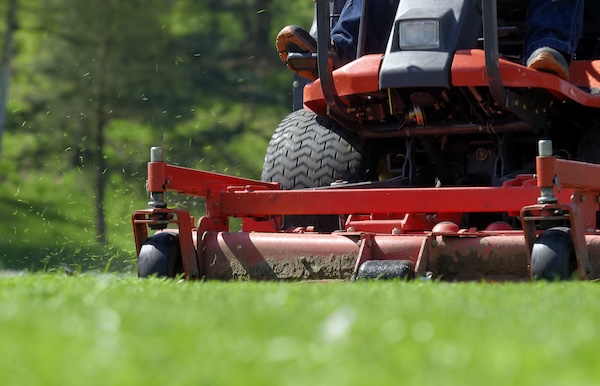 lawnmower cutting grass