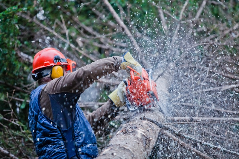 man cutting off tree branches with a chain saw