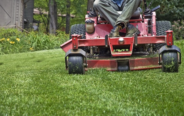 lawn cutting on lawnmower