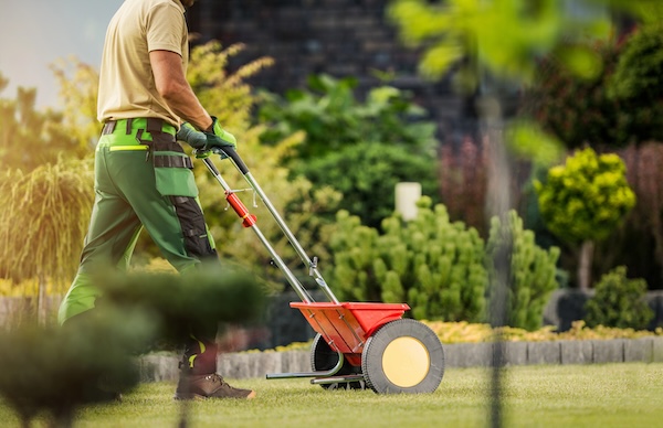 man applying fertilizer to a lawn