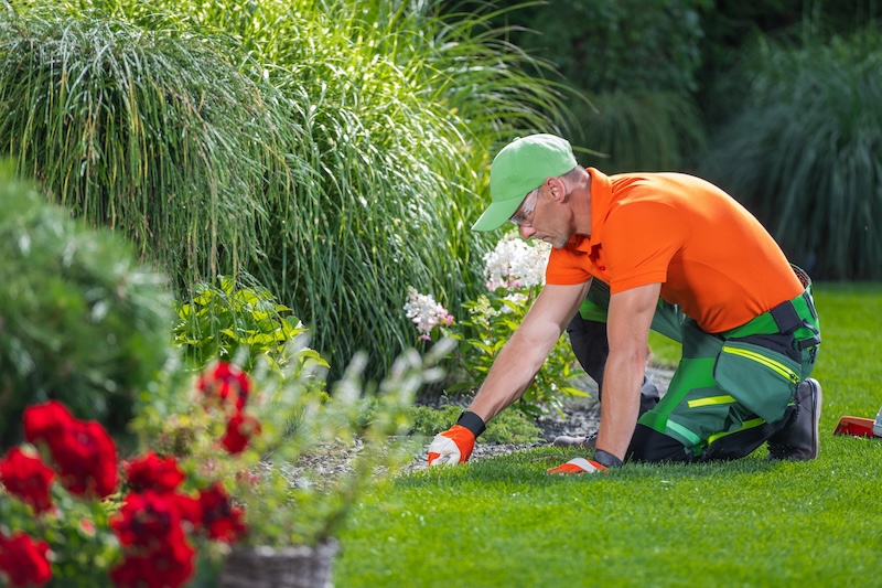 man kneeling on fresh grass
