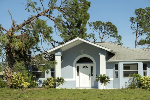 residential house with tree fallen onto the house