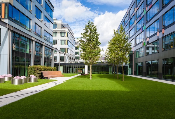 commercial lawn between buildings
